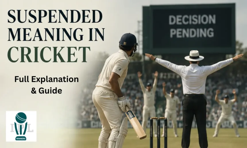 Suspended Meaning in Cricket